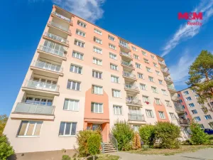 Prodej bytu 1+kk, Plzeň - Lobzy, Pod Vrchem, 20 m2