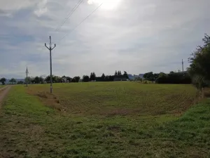 Dražba pole, Vrbice, 9030 m2