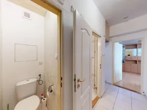 Prodej bytu 2+1, Brno, Palackého třída, 51 m2