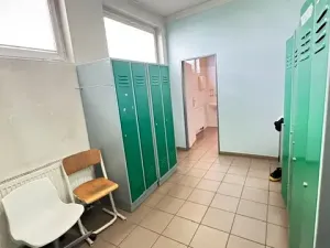 Pronájem výrobních prostor, Holešov, 43 m2