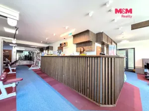 Prodej obchodního prostoru, Praha - Smíchov, Kobrova, 276 m2