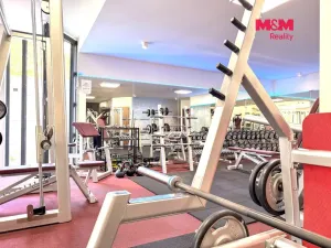 Pronájem obchodního prostoru, Praha - Smíchov, Kobrova, 276 m2