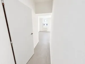 Pronájem bytu 1+kk, Brno, Cejl, 30 m2