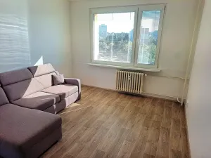 Prodej bytu 1+1, Hradec Králové, Palachova, 35 m2