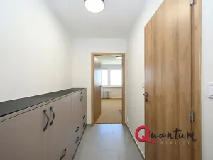 Pronájem bytu 1+kk, Praha - Braník, Údolní, 27 m2