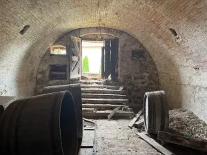 Prodej vinného sklepa, Pavlov, Zahradní, 198 m2