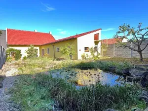 Pronájem rodinného domu, Ostrožská Nová Ves, Chříb, 180 m2