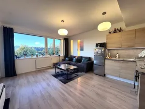 Pronájem bytu 2+kk, Praha - Holešovice, Jankovcova, 43 m2