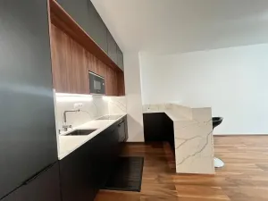 Pronájem bytu 2+kk, Praha - Nové Město, Krakovská, 55 m2