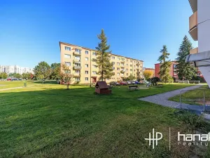 Pronájem bytu 3+1, Uničov, Nová, 62 m2