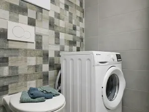 Pronájem bytu 2+kk, Brno, Matlachova, 32 m2