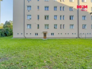 Prodej bytu 1+1, Plzeň - Východní Předměstí, Úslavská, 45 m2