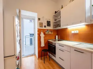 Pronájem bytu 1+1, Olomouc, Palackého, 35 m2