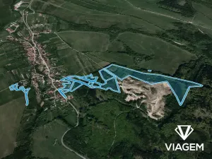 Prodej podílu lesa, Bojkovice, 3337 m2