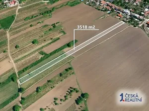 Prodej podílu pole, Hrušky, 293 m2