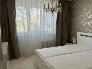 Pronájem bytu 2+1, Olomouc, U kovárny, 53 m2