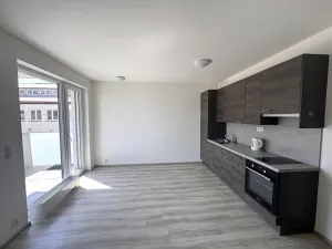 Pronájem bytu 1+kk, Praha - Holešovice, Na Maninách, 33 m2