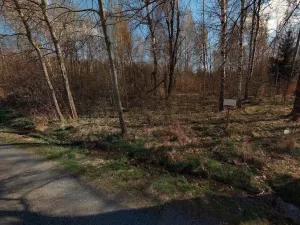 Prodej pozemku, Rozvadov, 2391 m2