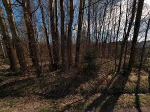 Prodej pozemku, Rozvadov, 2618 m2