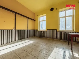 Prodej obchodního prostoru, Nová Ves - Vepřek, 600 m2