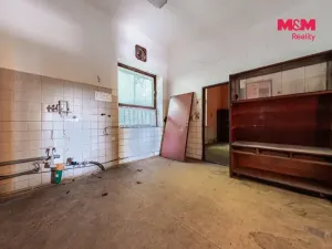 Prodej obchodního prostoru, Nová Ves - Vepřek, 600 m2