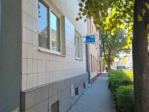 Prodej bytu 2+1, Brno, Rokycanova, 62 m2