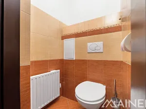 Prodej bytu 1+1, Plzeň, Nad Týncem, 49 m2