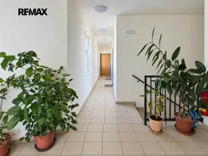 Pronájem bytu 3+kk, Praha - Cholupice, Podchýšská, 74 m2