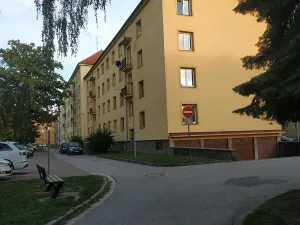 Pronájem bytu 3+1, Pardubice, Benešovo náměstí, 60 m2