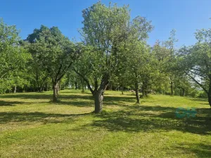 Prodej rodinného domu, Oprostovice, 330 m2