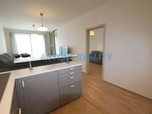 Pronájem bytu 4+kk, Praha - Žižkov, Olšanská, 110 m2