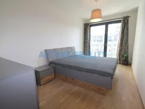 Pronájem bytu 4+kk, Praha - Žižkov, Olšanská, 110 m2