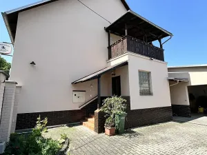 Prodej rodinného domu, Ostrava, Dobrovského, 350 m2