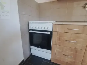 Pronájem bytu 3+1, Ostrava, Dělnická, 77 m2