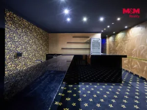 Pronájem obchodního prostoru, Uherský Brod, Moravská, 205 m2