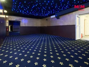 Pronájem obchodního prostoru, Uherský Brod, Moravská, 205 m2