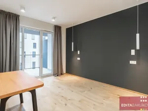 Pronájem bytu 2+kk, Olomouc, Eduarda Hamburgera, 57 m2