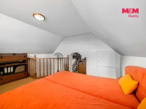 Prodej obchodního prostoru, Krásné Údolí, 220 m2