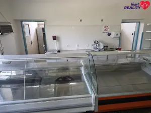 Pronájem obchodního prostoru, Holasovice, 258 m2