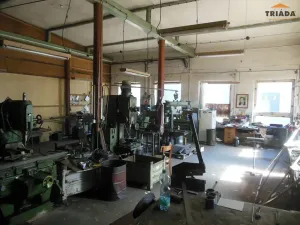 Prodej výrobních prostor, Stružinec, 10029 m2
