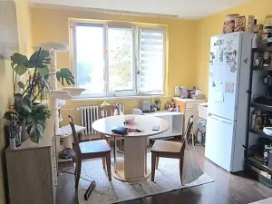 Pronájem bytu 1+1, Aš, Tylova, 36 m2