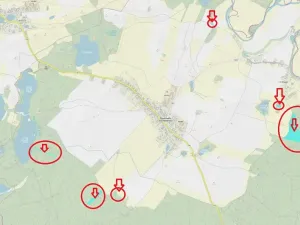 Prodej lesa, Novosedly nad Nežárkou, 67560 m2
