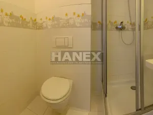 Pronájem bytu 1+kk, Praha - Karlín, Molákova, 36 m2