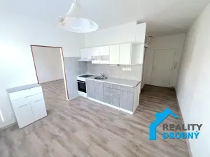 Pronájem bytu 1+1, Děčín, Labská, 37 m2