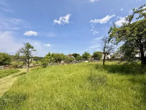 Prodej pozemku pro bydlení, Olšany, 1816 m2
