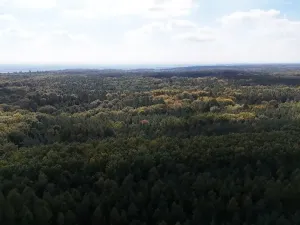 Prodej výrobních prostor, Seletice, 19535 m2