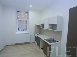 Pronájem bytu 1+1, Praha - Žižkov, Chelčického, 45 m2