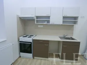 Pronájem bytu 1+1, Praha - Žižkov, Chelčického, 45 m2