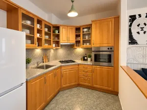 Pronájem bytu 1+kk, Praha - Nusle, Pod pramenem, 52 m2