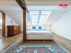 Prodej atypického bytu, Praha - Nové Město, Řeznická, 300 m2